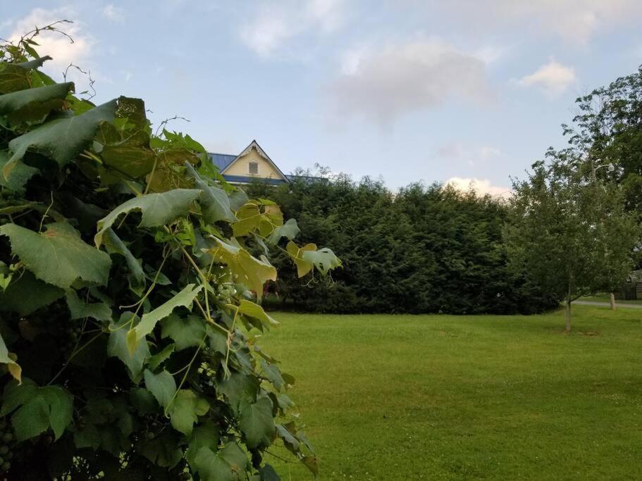 Basecampwv-Durbin. Spacious 4 Bedroom House W/Yard Exterior photo